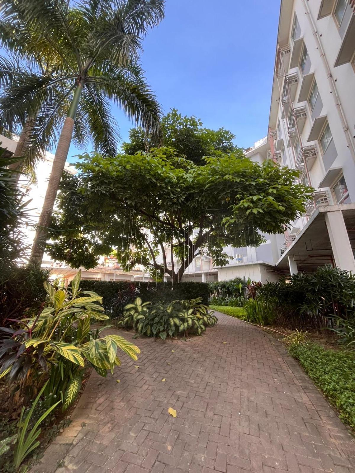 Summum Bonum Bliss - Lahug Aparthotel Cebu Exteriör bild